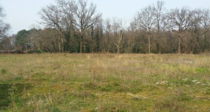 Cestas Maison neuve - 2393420-11301annonce1202601153CoLv.jpeg Maisons France Confort