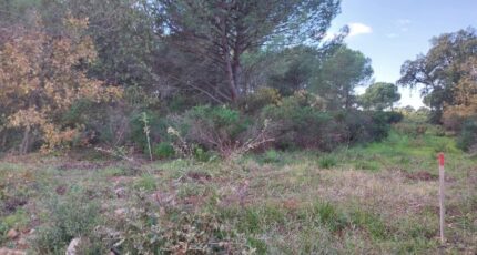Puget-sur-Argens Maison neuve - 2343842-11157annonce320251114bBo4R.jpeg Maisons France Confort
