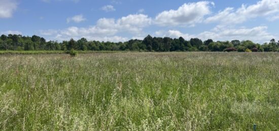 Terrain à bâtir à Bazas, Nouvelle-Aquitaine