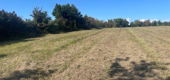 Terrain à bâtir à Cars, Nouvelle-Aquitaine