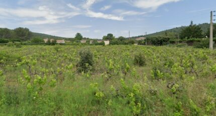 Garéoult Terrain à bâtir - 2395640-11137annonce220260116ivc0C.jpeg Maisons France Confort