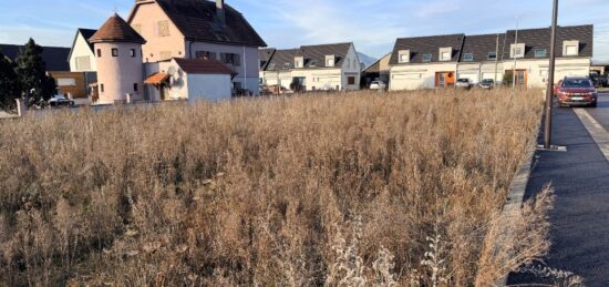 Terrain à bâtir à , Haut-Rhin