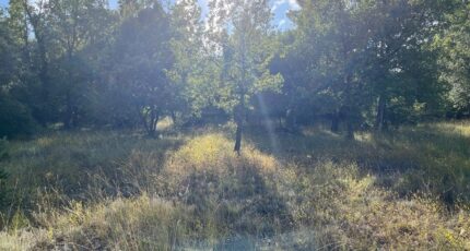 Rocbaron Terrain à bâtir - 2395724-5622annonce120260116A2ivq.jpeg Maisons France Confort