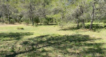 Méounes-lès-Montrieux Maison neuve - 2395801-5622annonce32026011695PB1.jpeg Maisons France Confort