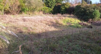 Tournefeuille Terrain à bâtir - 2395224-9555annonce120260116aAhAg.jpeg Maisons France Confort