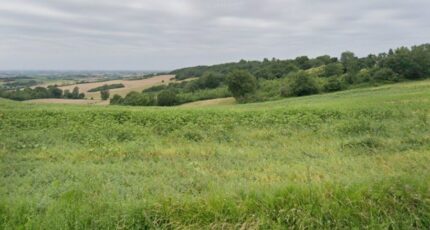 L'Isle-Jourdain Maison neuve - 2395471-9555annonce120260116Is5Rz.jpeg Maisons France Confort