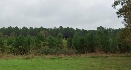 Préchac Maison neuve - 2395285-11273annonce120260116Rb9E1.jpeg Maisons France Confort