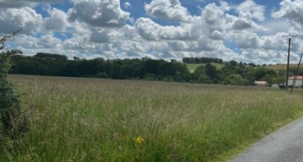 Busque Terrain à bâtir - 2394702-2684annonce120260115O23T9.jpeg Maisons France Confort