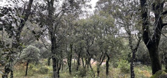 Terrain à bâtir à , Drôme