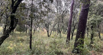 Saint-Restitut Terrain à bâtir - 2370282-6150annonce320251216b8IhB.jpeg Maisons France Confort