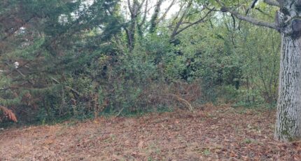 Beaupuy Maison neuve - 2395975-5604annonce120260116Pbkuv.jpeg Maisons France Confort