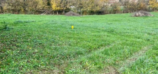 Terrain à bâtir à Saint-Cyr-sur-Menthon, Auvergne-Rhône-Alpes