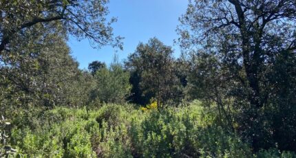 Puget Maison neuve - 2398739-7060annonce4202504181zmHm.jpeg Maisons France Confort