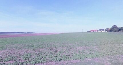 Haute-Avesnes Maison neuve - 2399124-5719annonce220260120GH8ME.jpeg Maisons France Confort