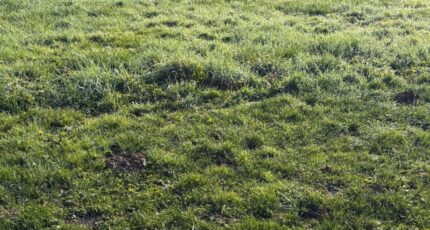 Saint-Sulpice Maison neuve - 2394442-11356annonce320260115audQa.jpeg Maisons France Confort