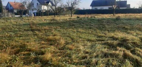 Terrain à bâtir à , Haut-Rhin