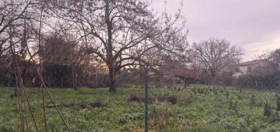 Terrain à bâtir à Mirepoix-sur-Tarn, Occitanie