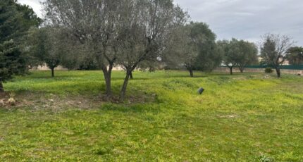 Roquebrune-sur-Argens Terrain à bâtir - 2401690-3951annonce120260122TCfN5.jpeg Maisons France Confort