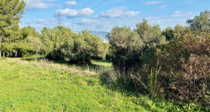 La Seyne-sur-Mer Maison neuve - 2403425-4866annonce320260123foVmM.jpeg Maisons France Confort