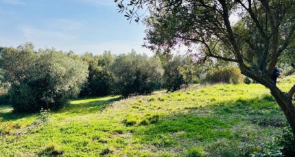 Ollioules Terrain à bâtir - 2403668-4866annonce420260123pJn4X.jpeg Maisons France Confort