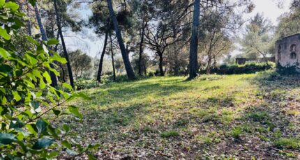 Ollioules Terrain à bâtir - 2403512-4866annonce420260123M2zp5.jpeg Maisons France Confort