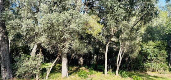 Terrain à bâtir à Ollioules, Provence-Alpes-Côte d'Azur