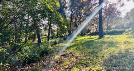 Ollioules Maison neuve - 2403567-4866annonce520260123TvrFZ.jpeg Maisons France Confort