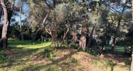 Ollioules Maison neuve - 2403650-4866annonce3202601233lC0m.jpeg Maisons France Confort