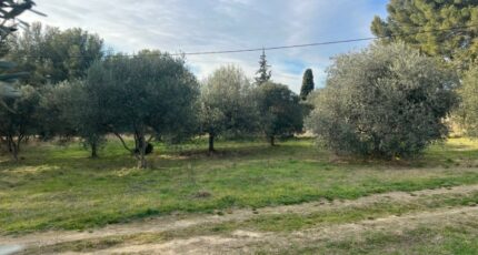 Saint-Chamas Maison neuve - 2405510-11073annonce420260124xZk3T.jpeg Maisons France Confort