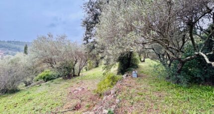 Carnoules Terrain à bâtir - 2407716-9707annonce42026012728Azf.jpeg Maisons France Confort