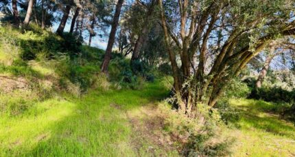 La Seyne-sur-Mer Maison neuve - 2407771-9707annonce120260127xQOpt.jpeg Maisons France Confort