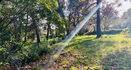 Ollioules Terrain à bâtir - 2408167-9707annonce120260127fboED.jpeg Maisons France Confort