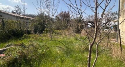 Beaumont-lès-Valence Terrain à bâtir - 2408631-812annonce420260127WUSc6.jpeg Maisons France Confort