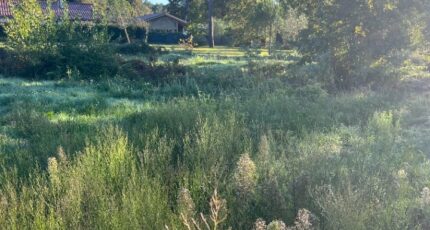 Martignas-sur-Jalle Terrain à bâtir - 2408979-10895annonce120260127nhzoX.jpeg Maisons France Confort