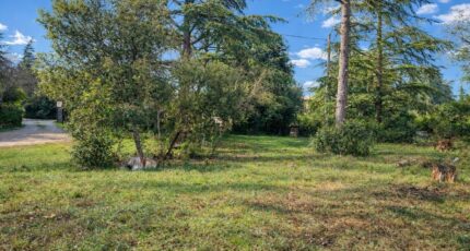 Saint-Maximin-la-Sainte-Baume Maison neuve - 2409260-11137annonce1202601276rx3J.jpeg Maisons France Confort