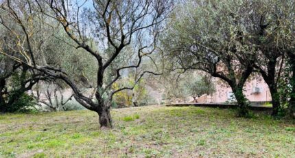 Pignans Terrain à bâtir - 2409191-9707annonce120260127qT72a.jpeg Maisons France Confort