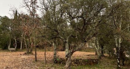 Vidauban Terrain à bâtir - 2409358-11723annonce420260127kOIQ6.jpeg Maisons France Confort