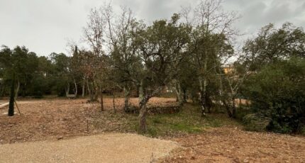 Vidauban Terrain à bâtir - 2409358-11723annonce520260127tPs17.jpeg Maisons France Confort