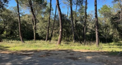 Suze-la-Rousse Terrain à bâtir - 2403234-6150annonce120250524yNgAT.jpeg Maisons France Confort