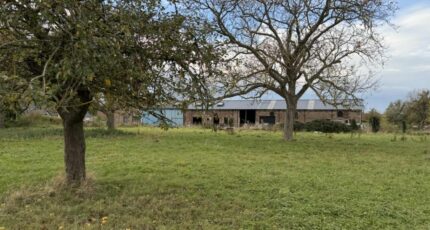 Masny Maison neuve - 2409900-10063annonce12026012862mOX.jpeg Maisons France Confort