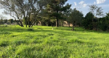 Bollène Terrain à bâtir - 2403247-6150annonce3202410205QIEN.jpeg Maisons France Confort