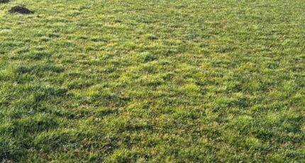 Mézens Maison neuve - 2394306-11356annonce220260115rZNLQ.jpeg Maisons France Confort