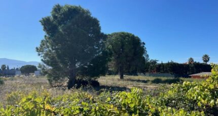 Laroque-des-Albères Maison neuve - 2410508-4671annonce120260128mGqfl.jpeg Maisons France Confort