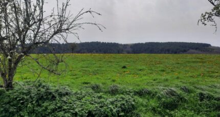 Roannes-Saint-Mary Terrain à bâtir - 2375945-6976annonce2202505158B5pT.jpeg Maisons France Confort