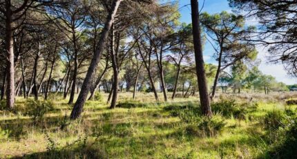 Saint-Maximin-la-Sainte-Baume Terrain à bâtir - 2411133-9707annonce120260129eN4hI.jpeg Maisons France Confort