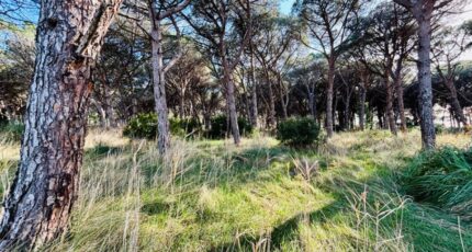 Saint-Maximin-la-Sainte-Baume Terrain à bâtir - 2411133-9707annonce320260129xbQEB.jpeg Maisons France Confort