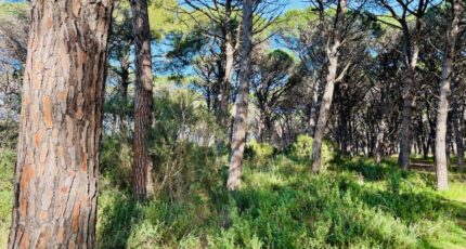 Saint-Maximin-la-Sainte-Baume Maison neuve - 2411137-9707annonce220260129kWtvm.jpeg Maisons France Confort