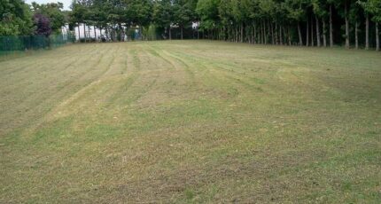 Villemereuil Maison neuve - 2411439-4032annonce120260129JqFmD.jpeg Maisons France Confort