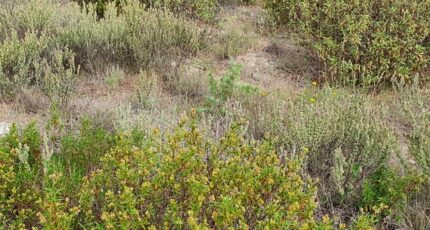 Pia Maison neuve - 2412139-4671annonce1202601294xTUO.jpeg Maisons France Confort