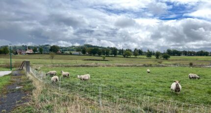 Naucelles Terrain à bâtir - 2412367-6000annonce320250619nw09y.jpeg Maisons France Confort